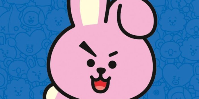 890x1200 BT21 Cooky Wallpapers