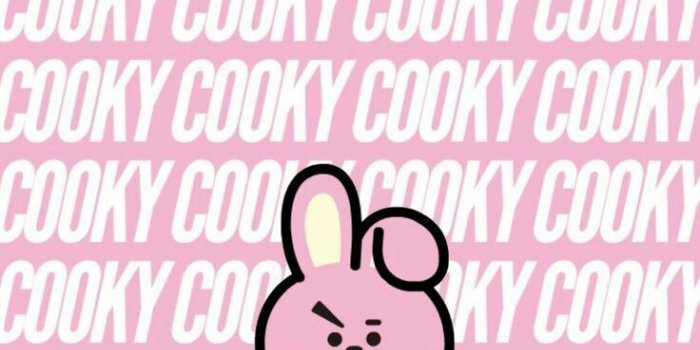 736x1309 cooky bt21 jungkook bts wallpaper - Image by ysa