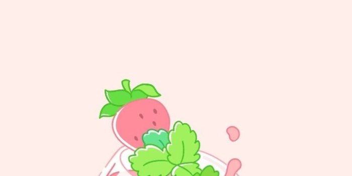 720x1280 bt21 cooky | Tumblr