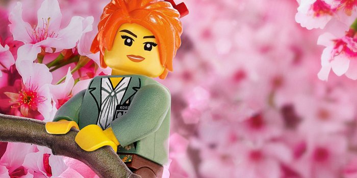 2764x1865 MISAKO The LEGO Ninjago Movie, HD Movies, 4k Wallpapers, Images