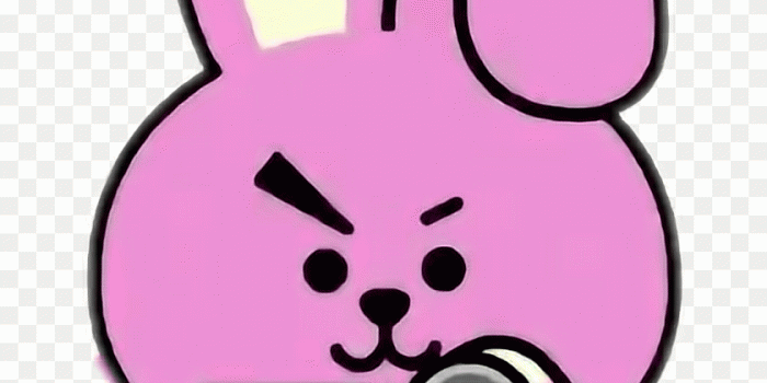 840x1068 Cooky - Bt21 PNG – Stunning free transparent png clipart images free