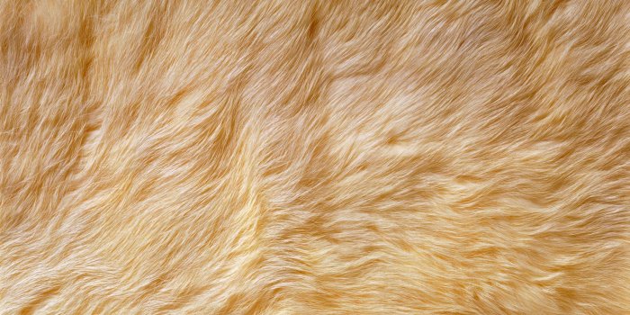 1920x1200 Animal fur texture Di Siji 9841 | Design Patterns & texture