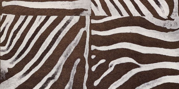 1200x900 Zebra Faux Fur Animal print Wallpaper Brown