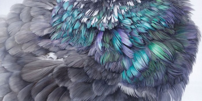 1215x741 Contemporary wallpaper / linen / vinyl / animal skin - AR-1 FEATHER