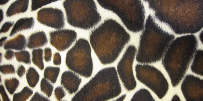 1600x1200 Giraffe Pattern wallpaper | 1600x1200 | #58514