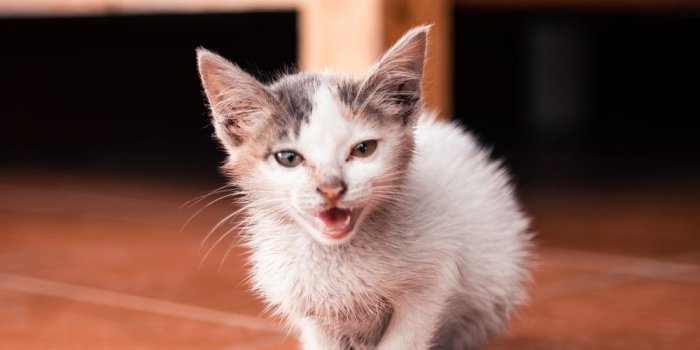 1000x1500 100+ Cool Wallpaper Pictures | Download Free Images on Unsplash