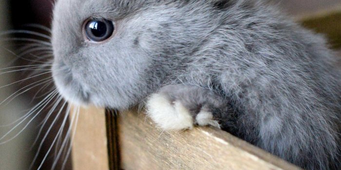 2254x3588 Mobile HD Wallpapers