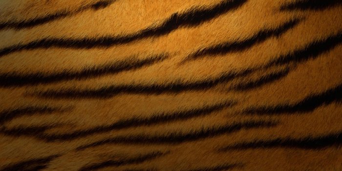 1920x1200 Fur wallpaper - SF Wallpaper