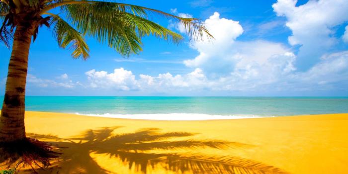 2560x1600 63+ Ocean Beach Wallpapers on WallpaperPlay