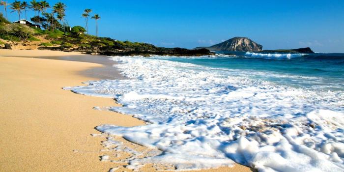 1600x913 Hawaii Ocean Beach Wallpaper | Wallpapers Turret