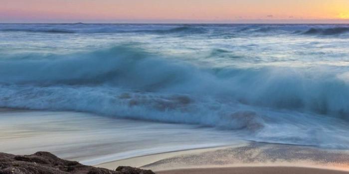 1255x2471 63+ Ocean Beach Wallpapers on WallpaperPlay