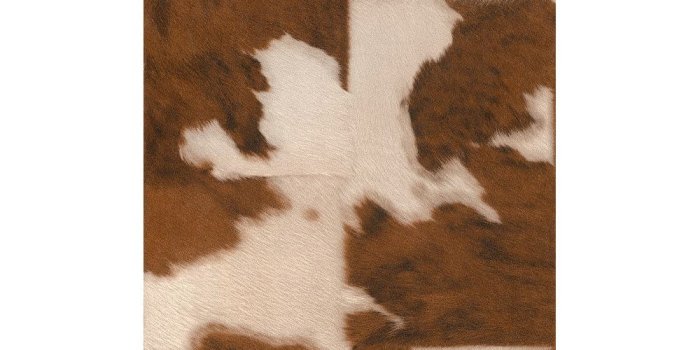 1000x1000 Cow Skin Pattern Faux Effect Animal Fur Print Textured Wallpaper 473902