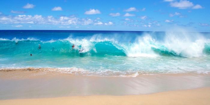 1920x1200 Ocean beach wave wallpaper | 1920x1200 | #31202