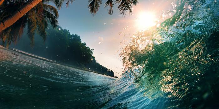 1127x700 Waves sea ocean beach palm trees summer wallpaper | 5000x3105