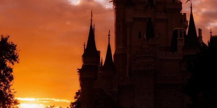 1080x1920 Free Disney iPhone Wallpapers - Disney Tourist Blog