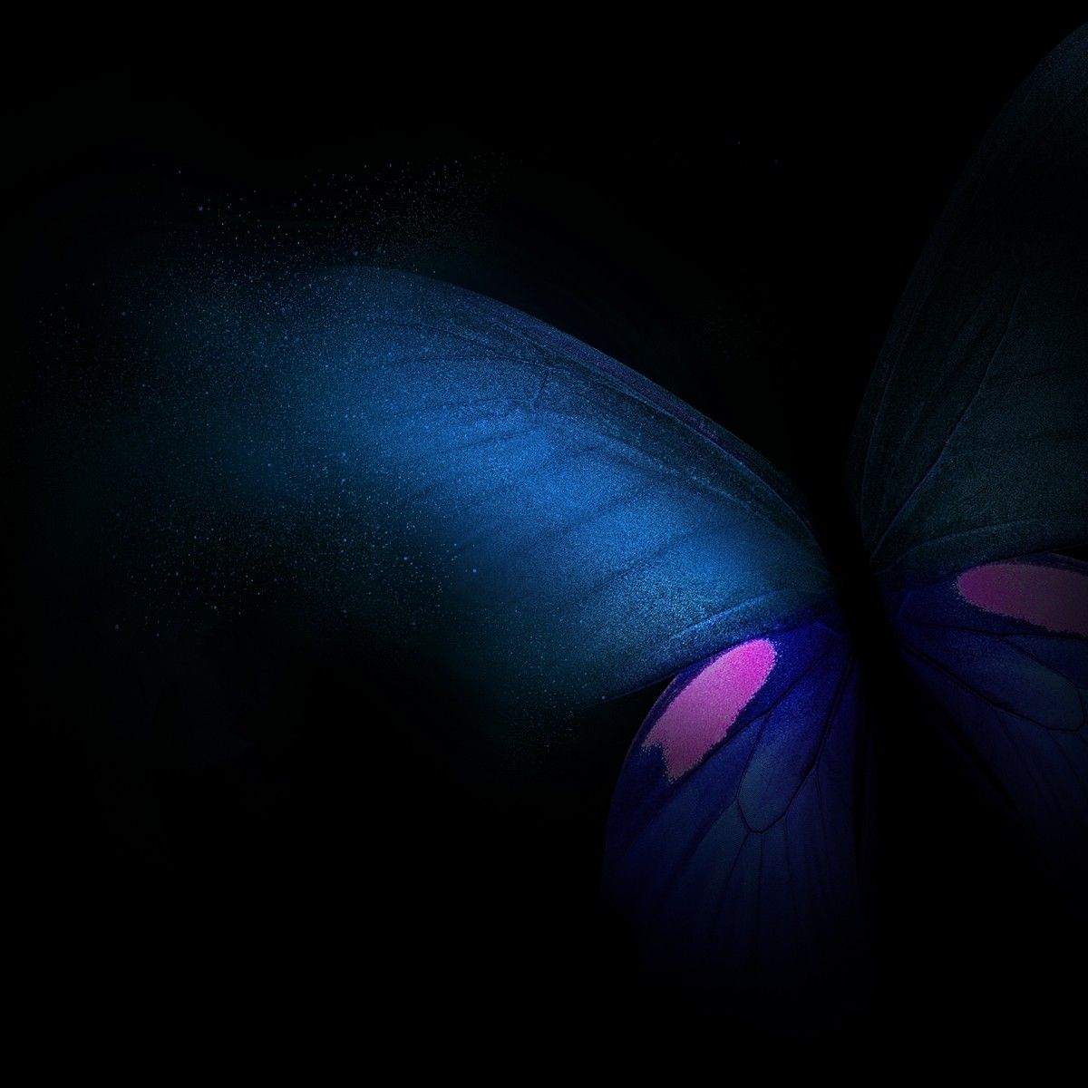 1200x1200 Download Samsung Galaxy Fold Wallpapers leaked from One UI 1.2