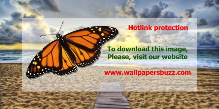 1920x1200 Beach in the morning HD Wallpaper