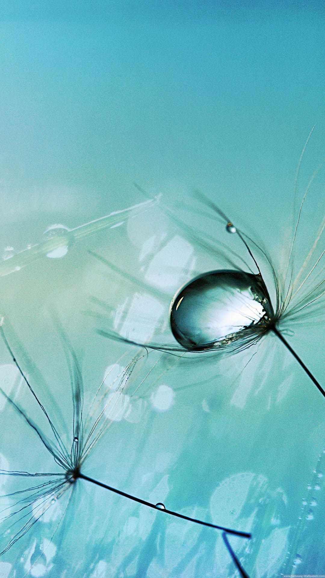 1080x1920 Samsung Galaxy S4 Live Wallpaper (43+), Download 4K Wallpapers For Free