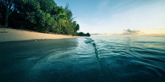2048x1004 2808593 morning beach sea sand palm trees water waves nature