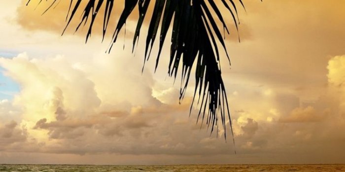 720x1280 Morning, Sri Lanka, Sunset, Tropics, Sea Hd Wallpaper - Facebook