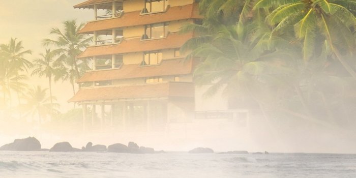 1242x2688 Beach, sea, sand, palm trees, fog, morning 1242x2688 iPhone XS Max