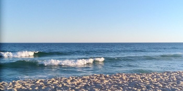 1104x1964 i can tell this is the beach during the morning ; lighting is