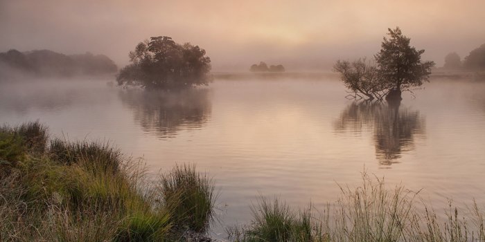 2458x1522 Mist, Lovely, Trees, Windows Wallpaper, Grass, Display, Tablet,cool