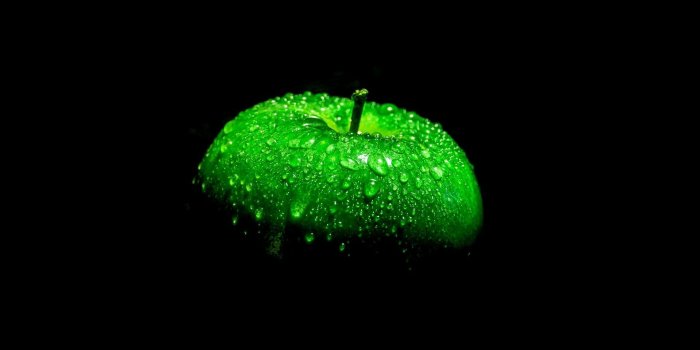 1920x1200 Green Wallpaper Hd - Green Wallpaper Hd Desktop (#64965) - HD