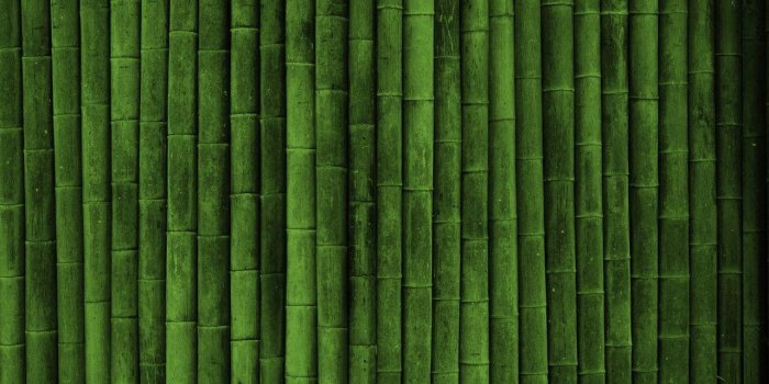 1280x800 Bamboo Desktop Wallpapers