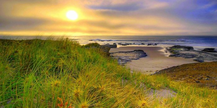 1366x768 1366x768 Good Morning Beach Nature Wallpaper HD