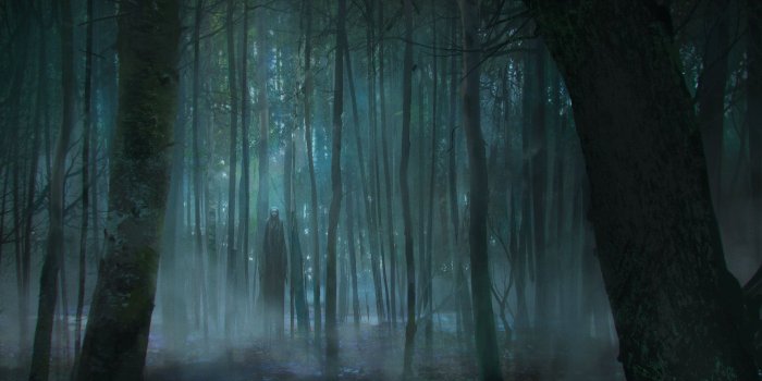 1920x1080 Creepy Dark Forest Wallpaper - Alone In A Forest (#302507) - HD