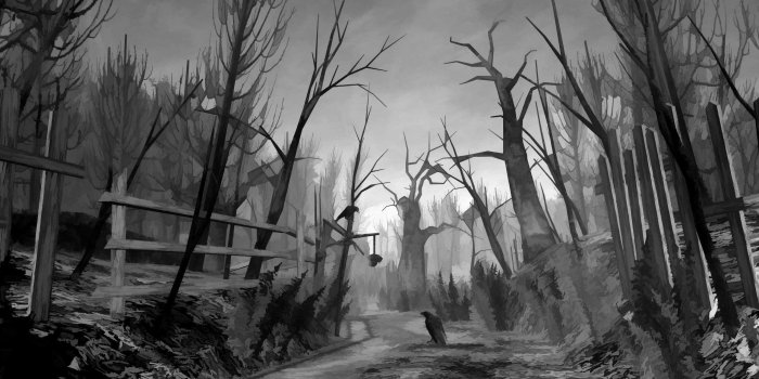 2560x1440 Scary Backgrounds Wallpaper 2560×1440 Creepy Forest Backgrounds (35