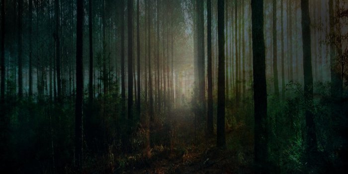 1920x1080 Spooky Forest Halloween wallpaper[1920x1080] : wallpapers