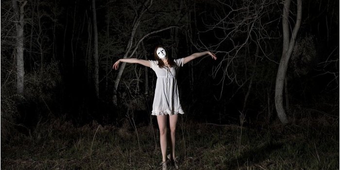 1280x829 Creepywoods Haunted Forest Wallpaper and Background Image | 1280x829