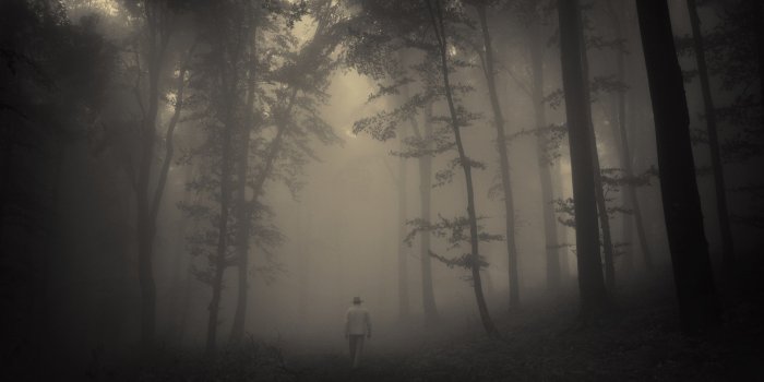 2880x1800 Creepy Landscape Wallpapers Photo | Landscape Wallpapers | Forest