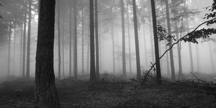 1920x1200 70+ Creepy Fall Wallpapers - Download at WallpaperBro