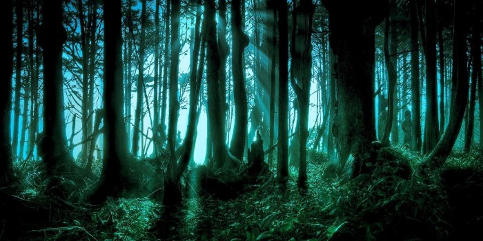 2560x1920 Download Creepy Forest Wallpaper (37) - mariacenoura.pt