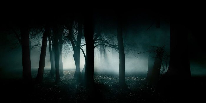 1920x1080 Dark Creepy Forest HD Wallpaper | 1920x1080 | ID:39946