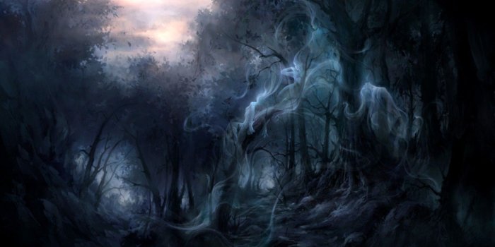 1920x1080 Creepy Dark Forest Background (#302986) - HD Wallpaper Download