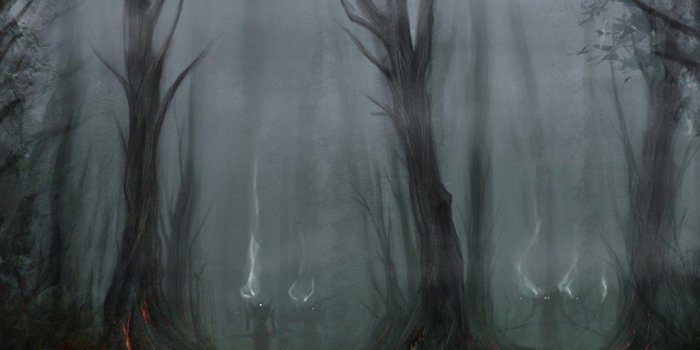 1024x768 Creepy Forest At Night Desktop Background