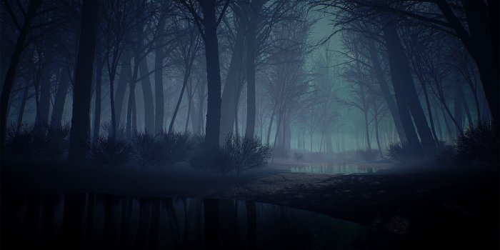 1920x1080 Creepy Forest wallpaper_Funny Wallpapers_download free wallpaper