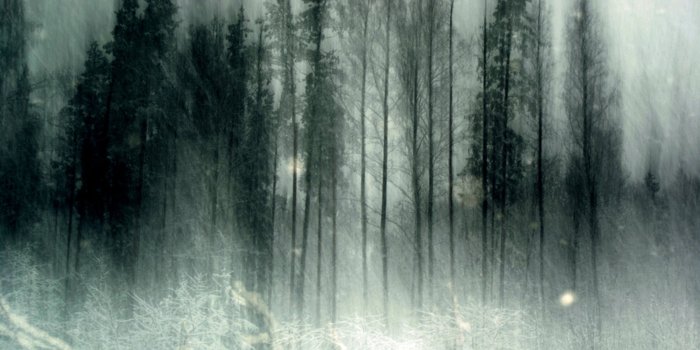 4267x2854 Spooky Forest Wallpapers