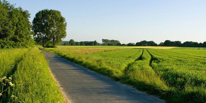 1805x1015 Beautiful, Green, Urban, Landscape, Desktop Wallpapers, Cool, Home