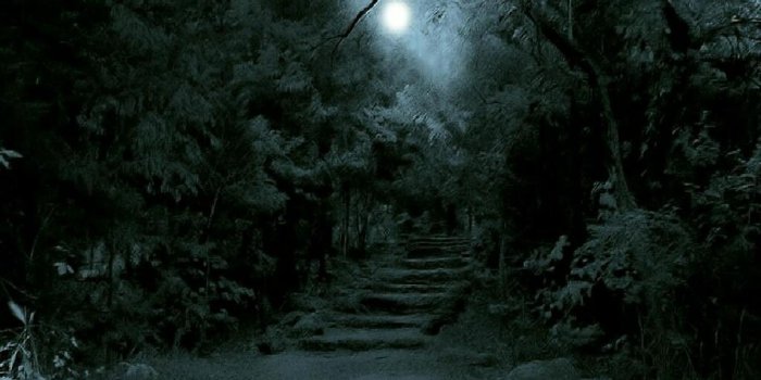 1920x1080 Dark Forest Wallpapers WallpapersInk High Resolution Dark Forest