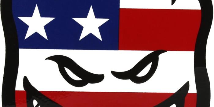 1101x1500 Spitfire Wallpaper Skate Group (56+)