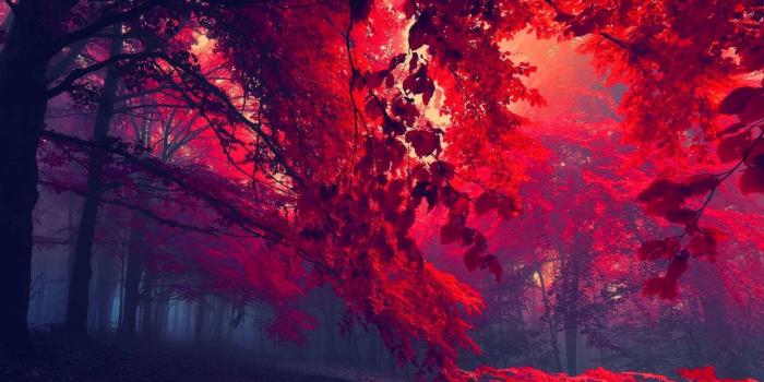 1920x1080 Red HD Wallpapers 1080p (73+ images)