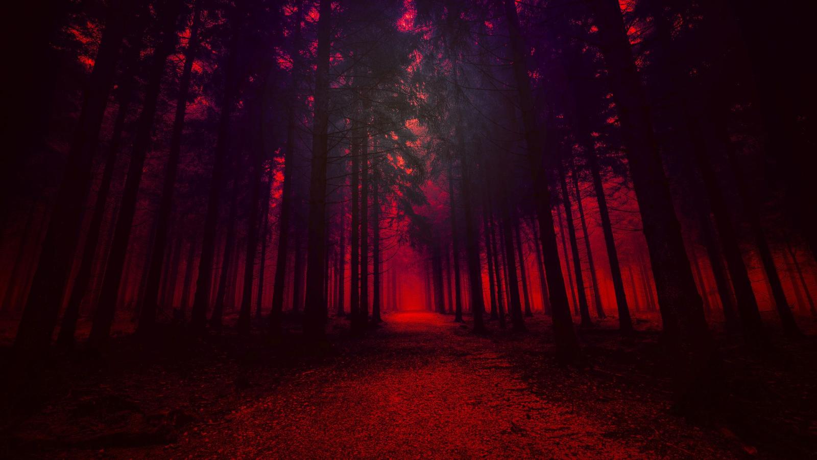 1920x1080 1920x1080 Artistic Red Forest Laptop Full HD 1080P HD 4k Wallpapers