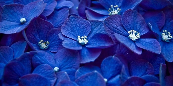 1280x1024 Blue Cute Wallpapers