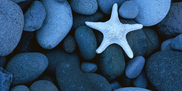 1600x1200 Cute Blue Wallpapers (30+ images) on Genchi.info