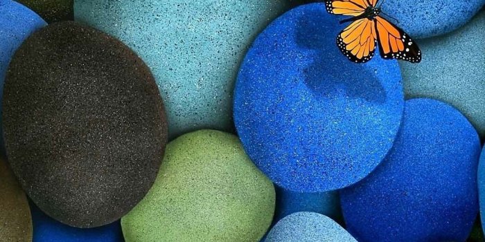 1080x1920 Butterfly Cute Rocks iPhone 6s Wallpapers HD